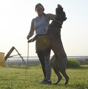Basic Obedience Training For Dogs